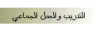التدريب والعمل الجماعي