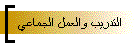 التدريب والعمل الجماعي